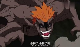 青年雷影爆料视频大全集,揭秘青年时代的热血青春